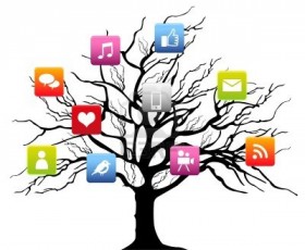 content-curation