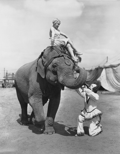 PT-Barnum-content-promotion