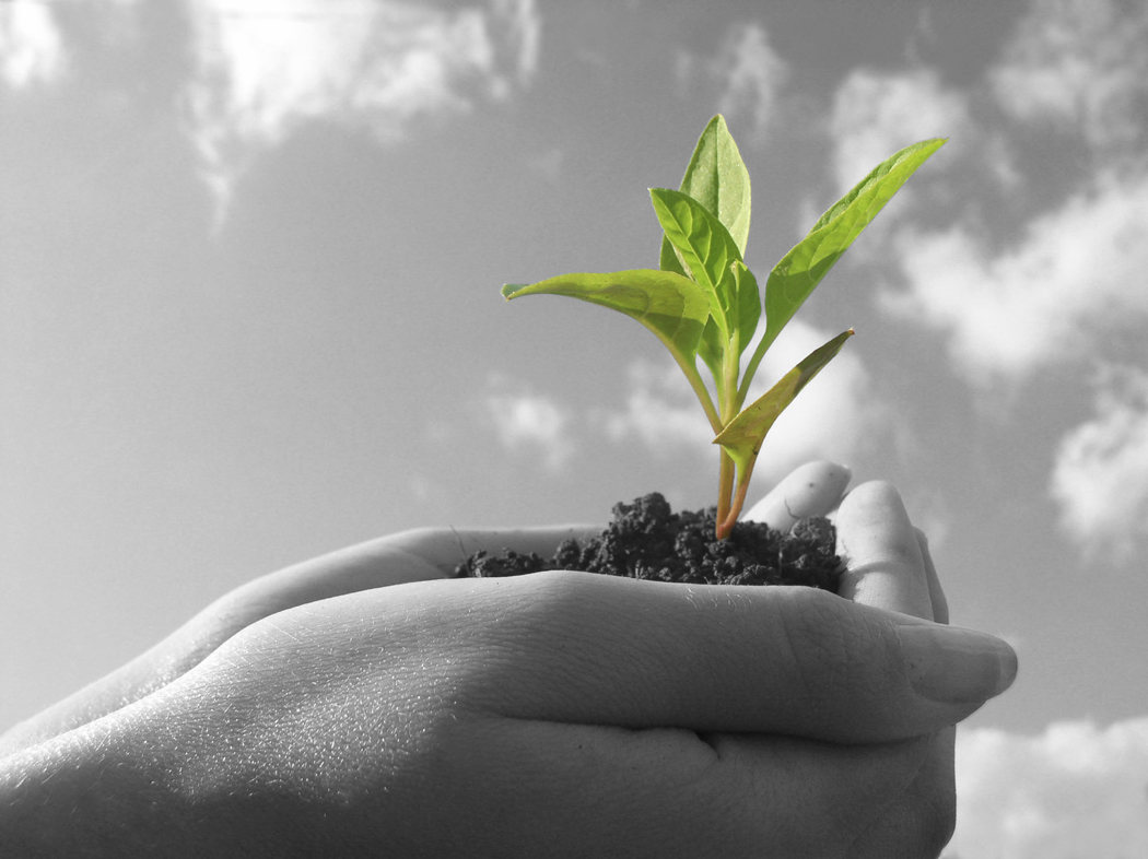 admissions marketing investment