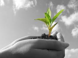 email_lead_nurturing_inbound_marketing