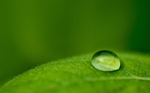 fresh-cont-inbound-marketing