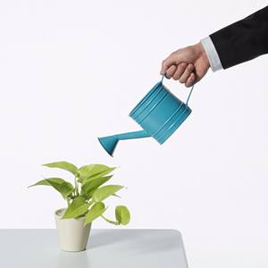 lead nurturing campaign
