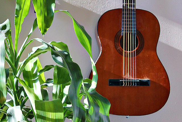 guitar_plant