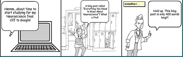 Inbound_Marketing_Comic_-_Everything_You_Need_to_Know_About_Neuroscience_in_400_Words_or_Less